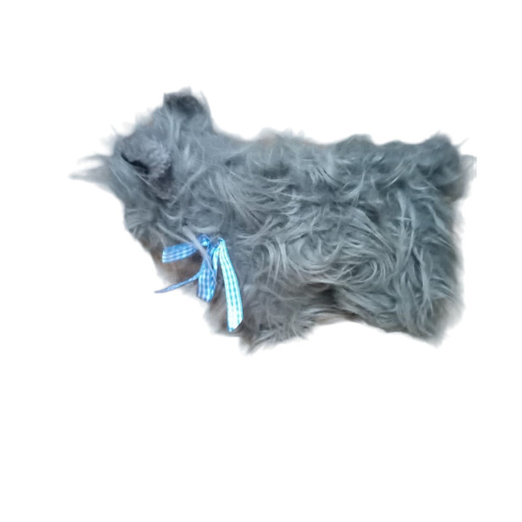 The Wizard of OZ TOTO plush - Picture 2 of 7